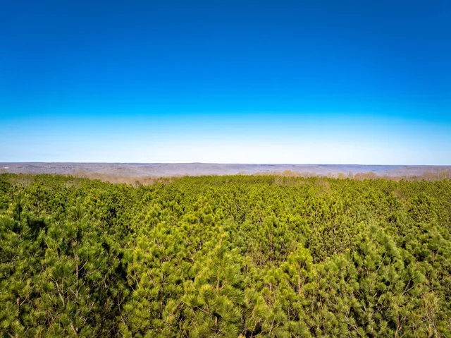 $94,900 | 0 Crockett Pointe Point, Unit JF 313, Jasper, TN 37347