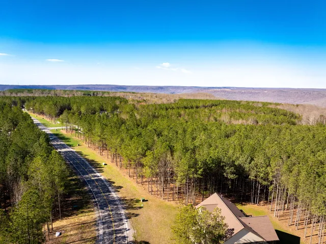 $94,900 | 0 Crockett Pointe Point, Unit JF 313, Jasper, TN 37347