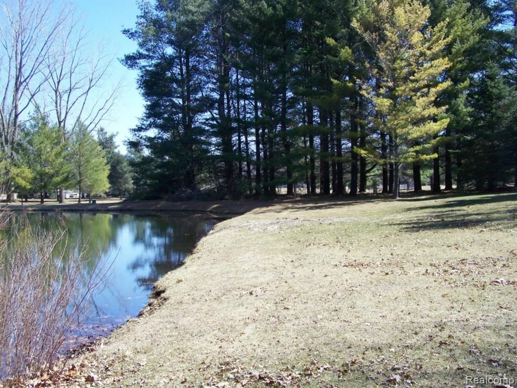 7547 North Robb Road Fowlerville, MI 48836 - Photo 45 of 52 100_9612.jpg