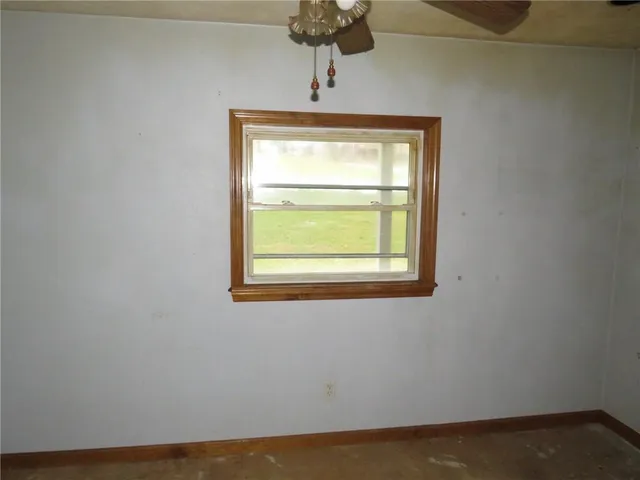 a view of a backyard with plants and a garden