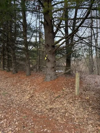 $79,000 | 4311 South Youngman Road, Greenville, MI 48838