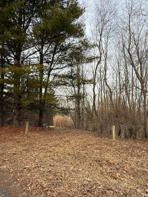 4311 South Youngman Road Greenville, MI 48838 - Photo 2 of 9 IMG_3265