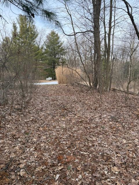 4311 South Youngman Road Greenville, MI 48838 - Photo 3 of 9 IMG_3257