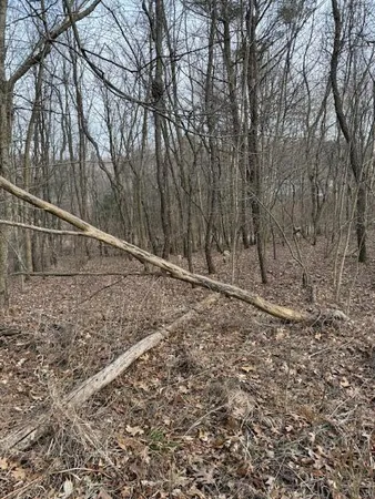 $79,000 | 4311 South Youngman Road, Greenville, MI 48838