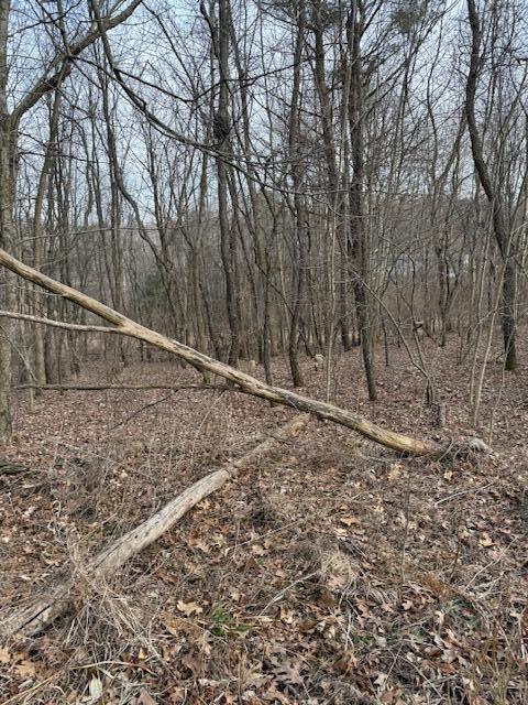 4311 South Youngman Road Greenville, MI 48838 - Photo 4 of 9 IMG_3258