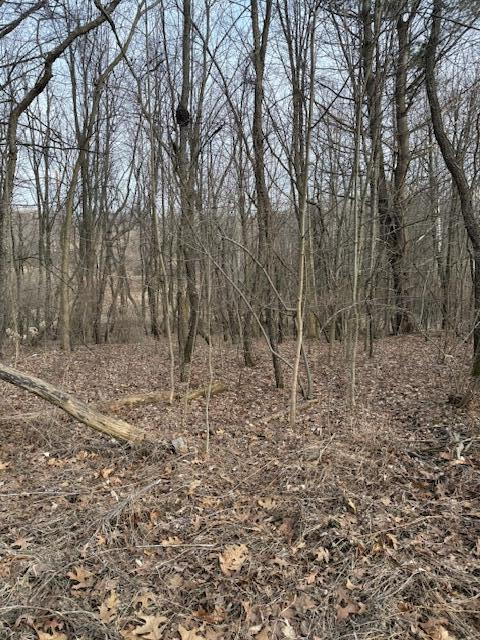 4311 South Youngman Road Greenville, MI 48838 - Photo 5 of 9 IMG_3259