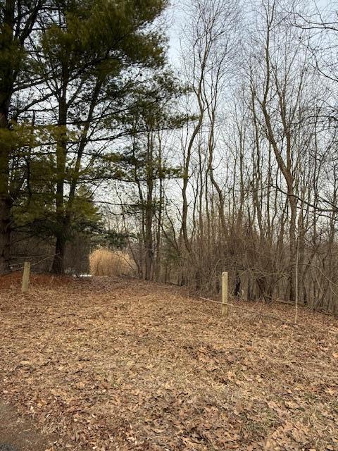 4311 South Youngman Road Greenville, MI 48838 - Photo 6 of 9 IMG_3264