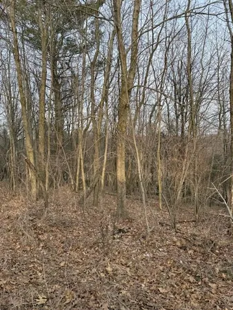 $79,000 | 4311 South Youngman Road, Greenville, MI 48838