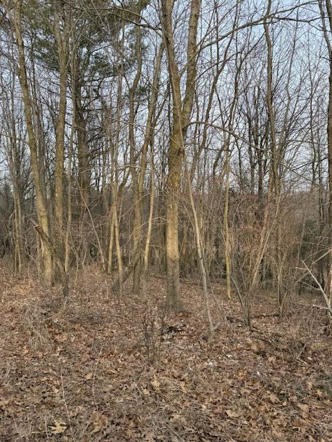 4311 South Youngman Road Greenville, MI 48838 - Photo 7 of 9 IMG_3261