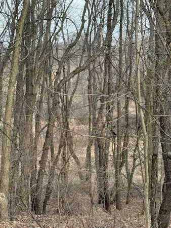 $79,000 | 4311 South Youngman Road, Greenville, MI 48838