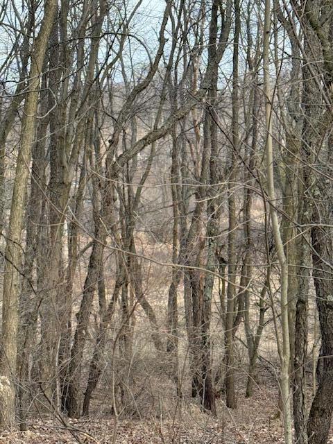 4311 South Youngman Road Greenville, MI 48838 - Photo 8 of 9 IMG_3263