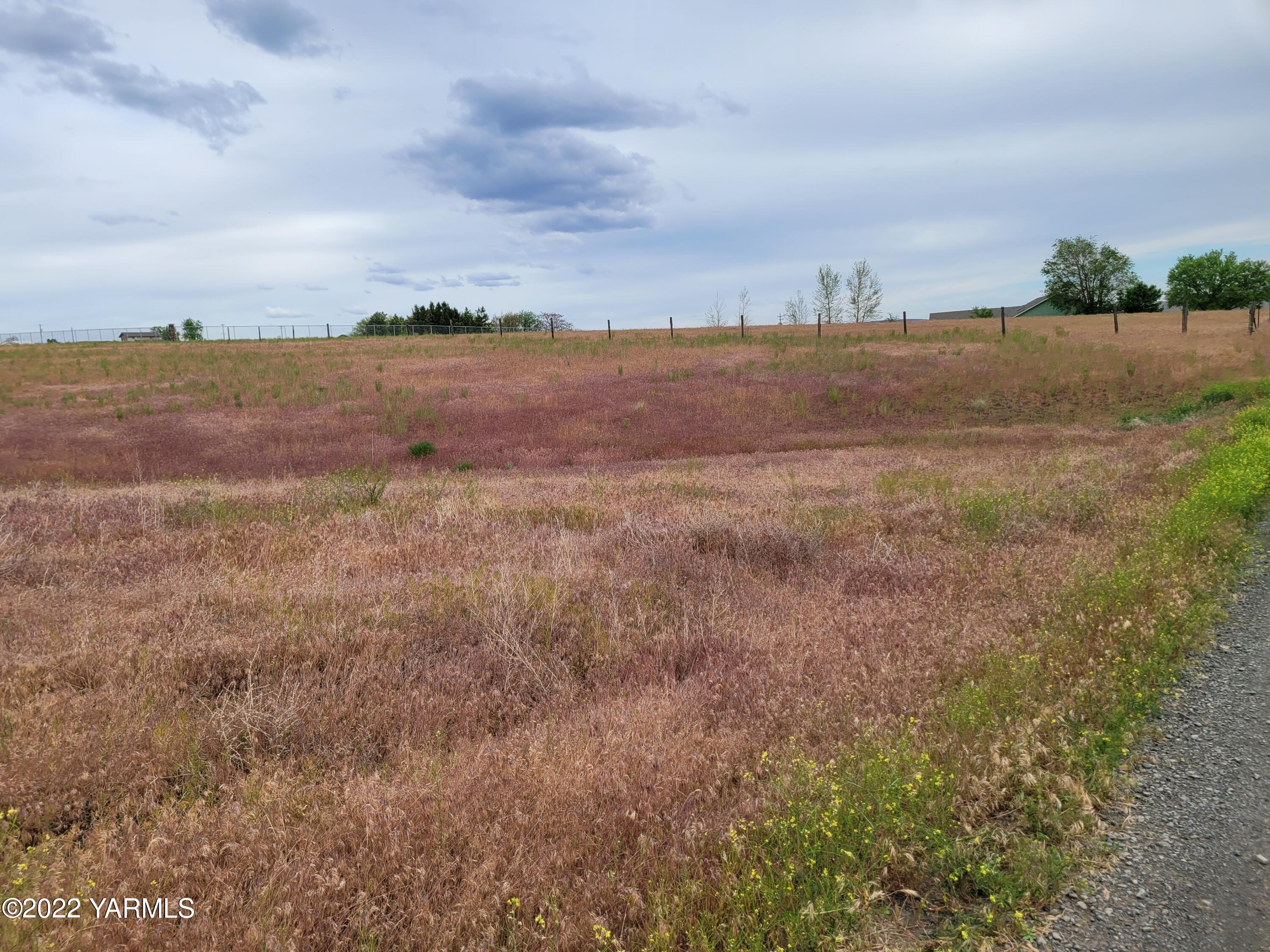 Nka Mieras Road Yakima, WA 98901 - Photo 4 of 5 20220601_162353