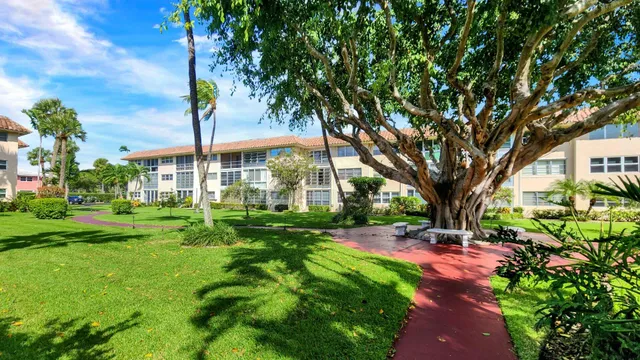 a view of backyard with table and chairs and a large tree