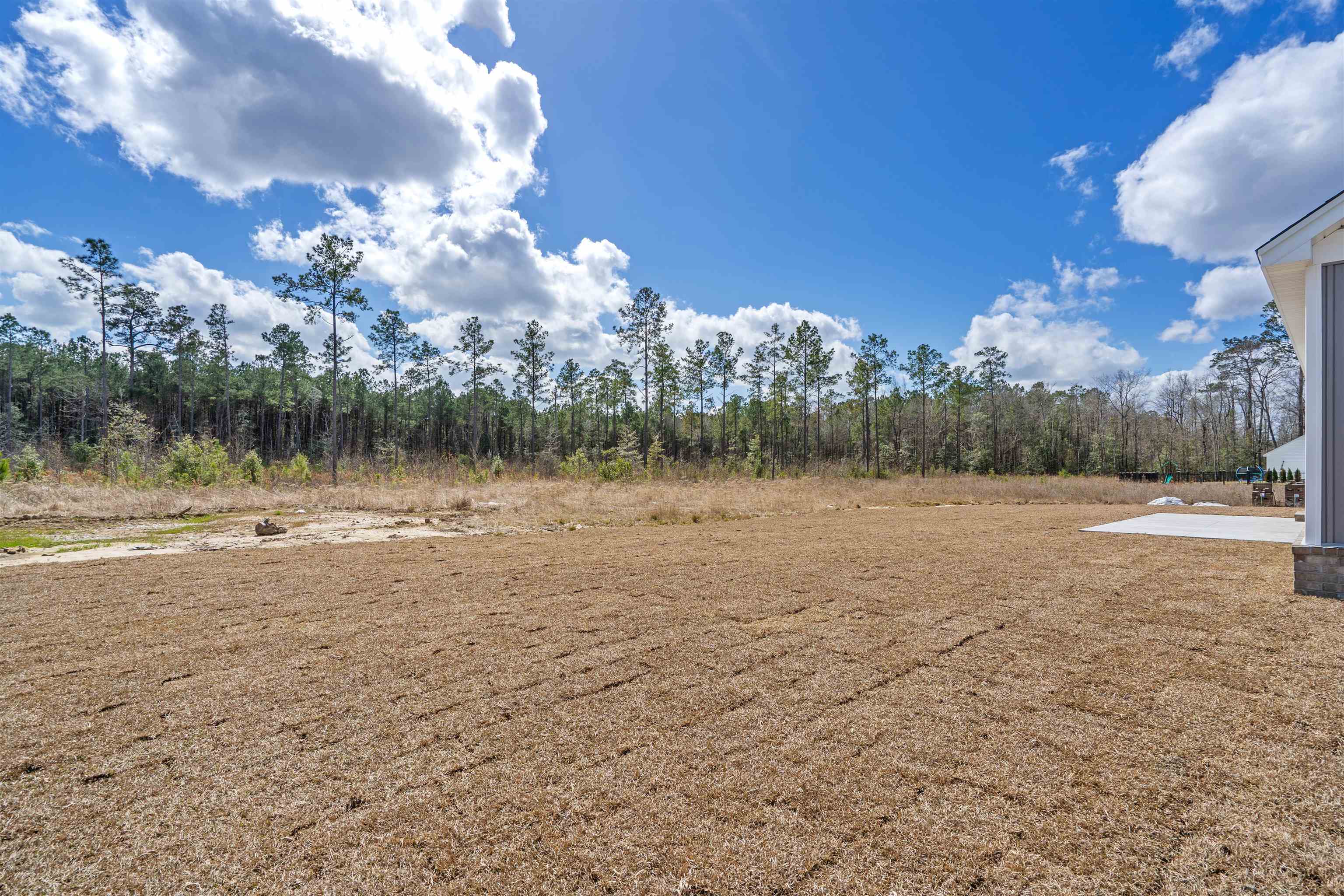 6933 Pauley Swamp Road Conway, SC 29527 - Photo 32 of 52