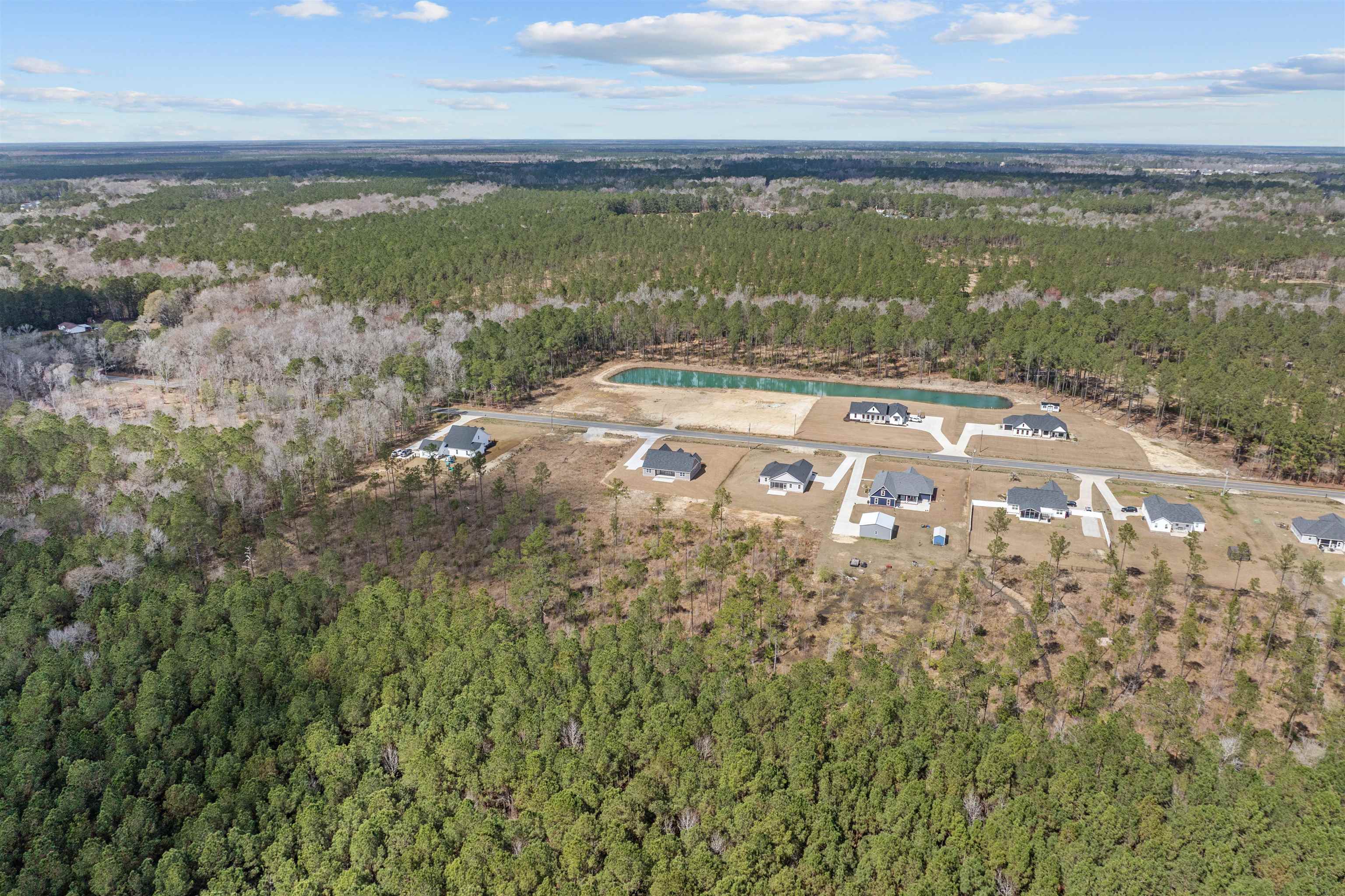 6933 Pauley Swamp Road Conway, SC 29527 - Photo 49 of 52