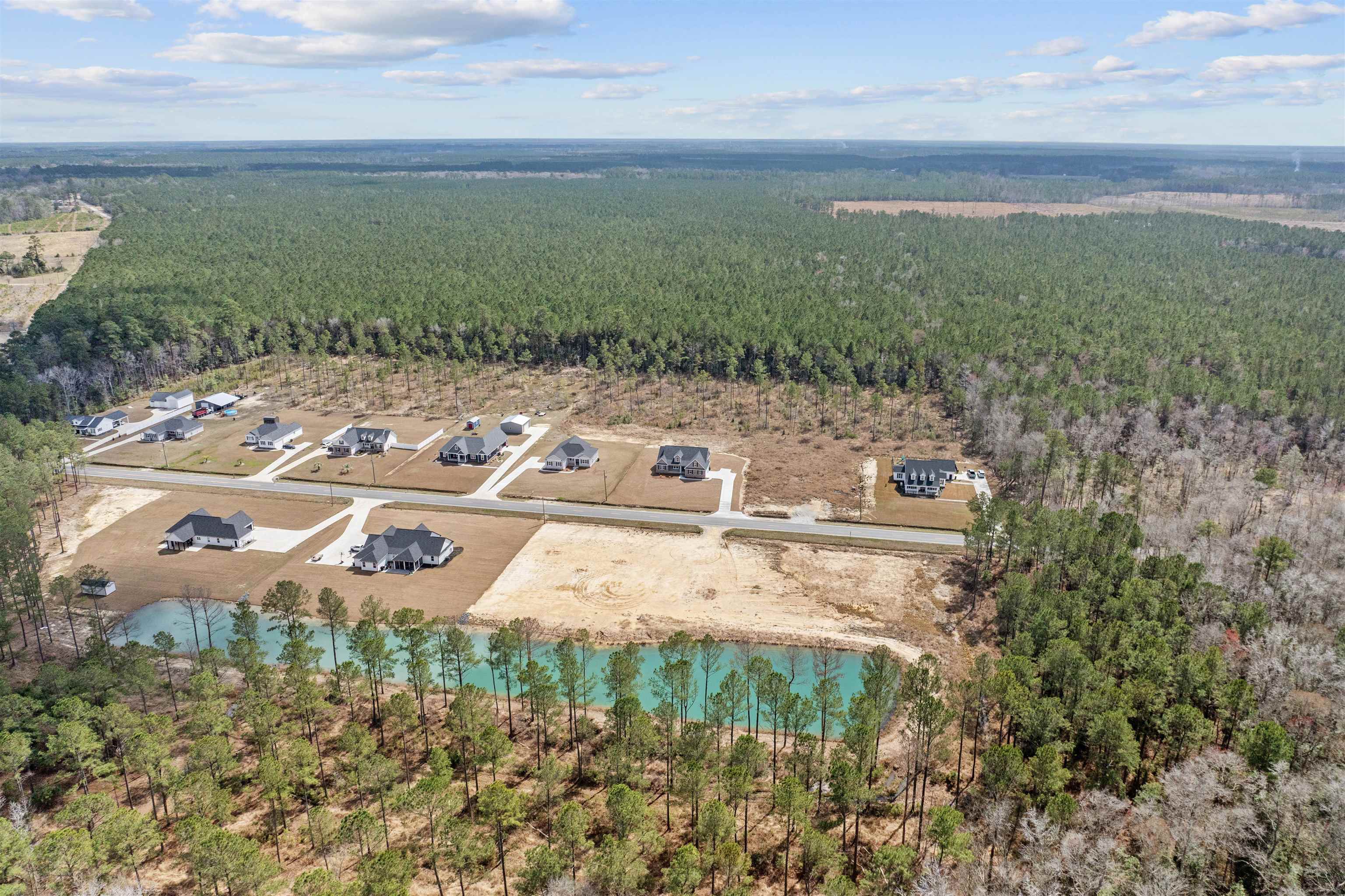 6933 Pauley Swamp Road Conway, SC 29527 - Photo 6 of 52