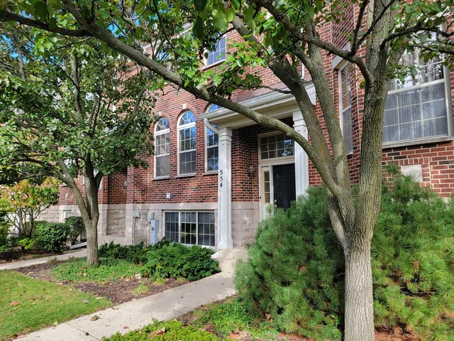 a tree in front of a brick house with a large tree