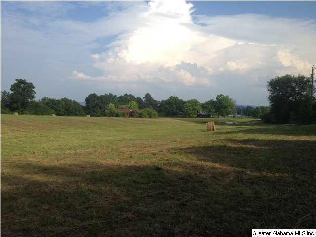 627 River Bend Road Cleveland, AL 35049 - Photo 14 of 14