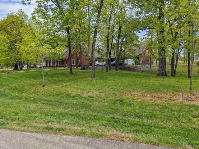 a view of a park with large trees