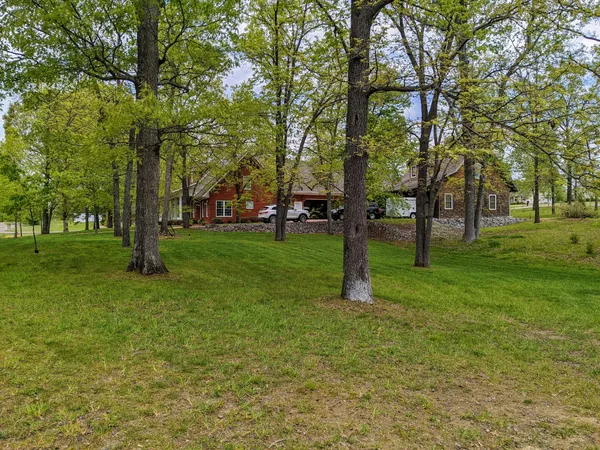 a view of a tree in a park