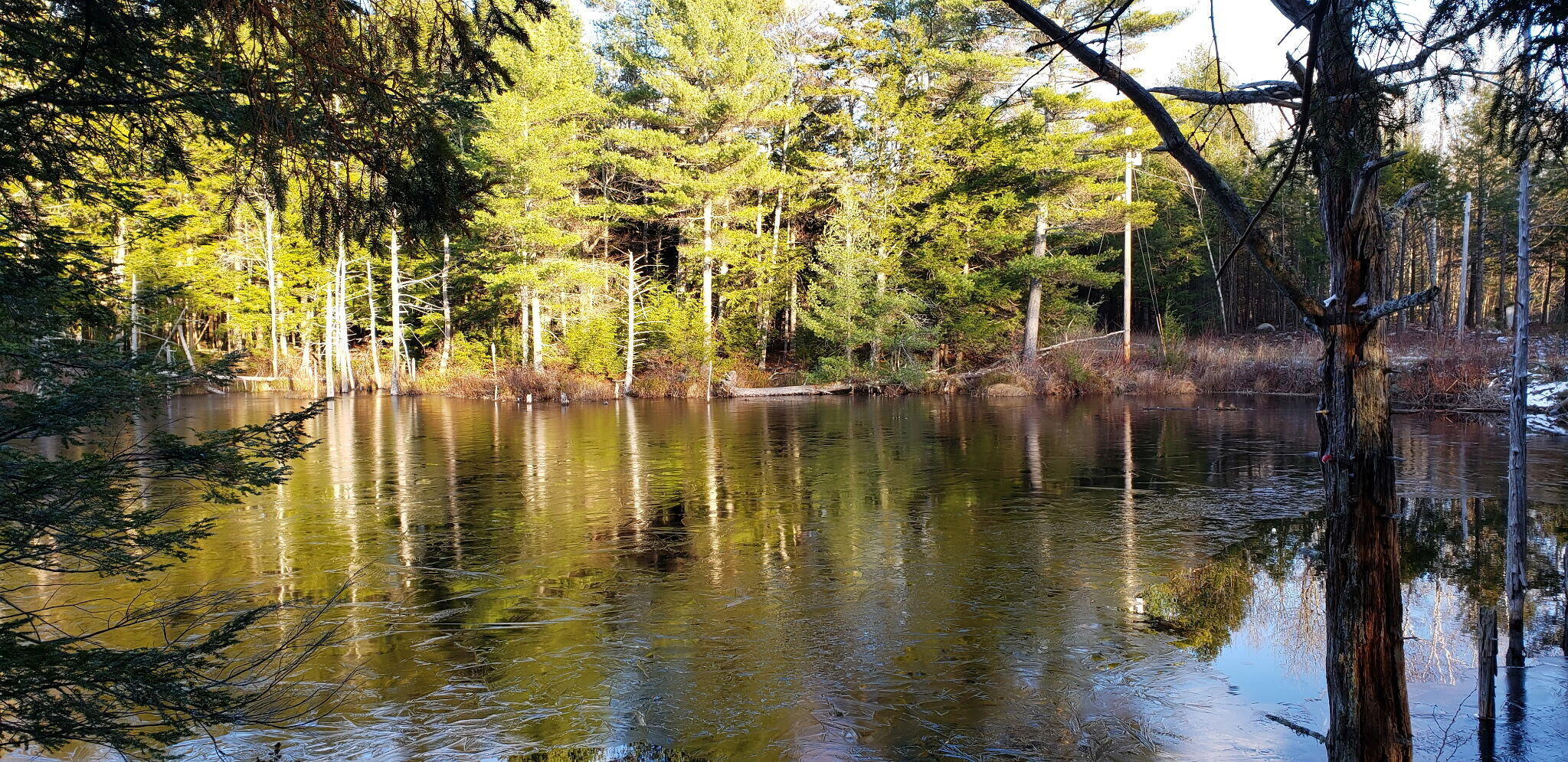 104 Drake Pond Road Jackson, ME 04921 - Photo 29 of 31 IMG_20260612_181457