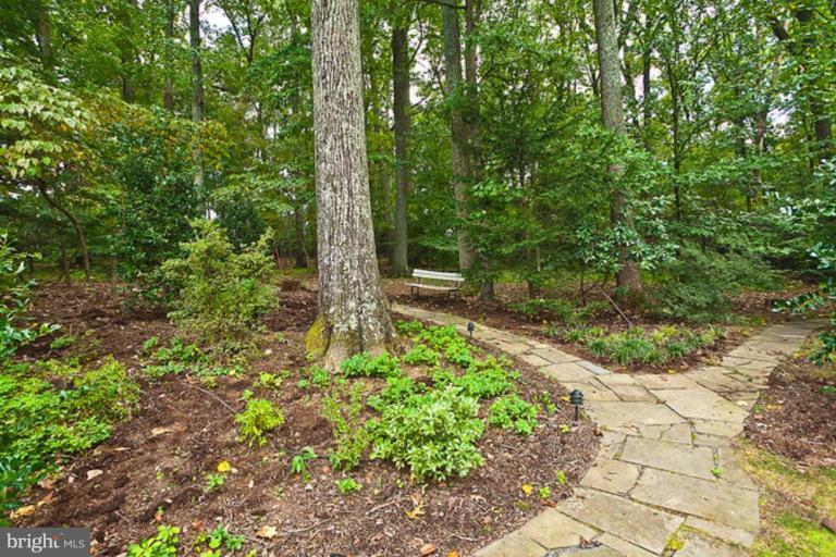 8010 Greentree Road Bethesda, MD 20817 - Photo 8 of 12 Back yard