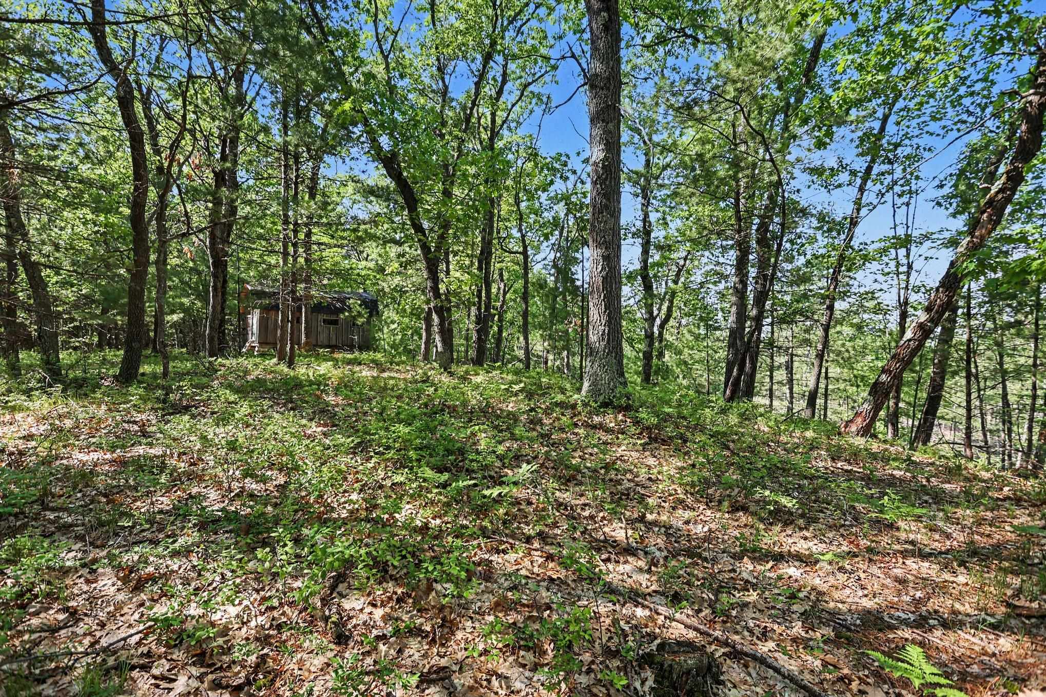 0 Fairview Road West Branch, MI 48661 - Photo 8 of 23