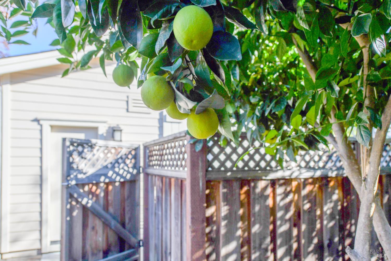 4048 Browns Valley Road Napa, CA 94558 - Photo 31 of 33