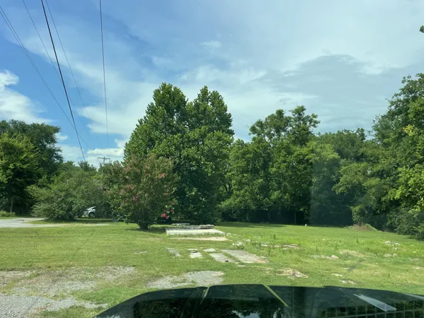 a view of a big yard with large trees