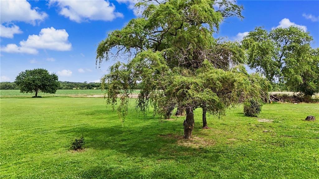 15496 Southeast Norton Road Kincaid, KS 66039 - Photo 48 of 66