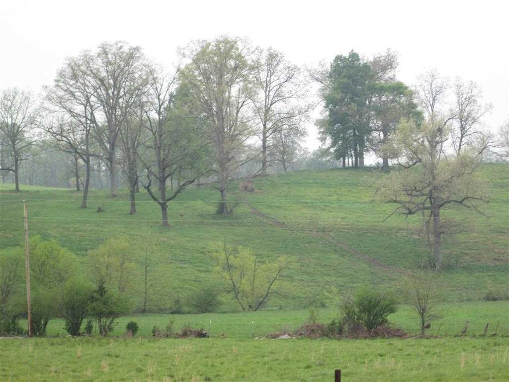 Lot 36 Northeast Chatata Valley Road Cleveland, TN 37323 - Photo 3 of 6 RCAR20142096B