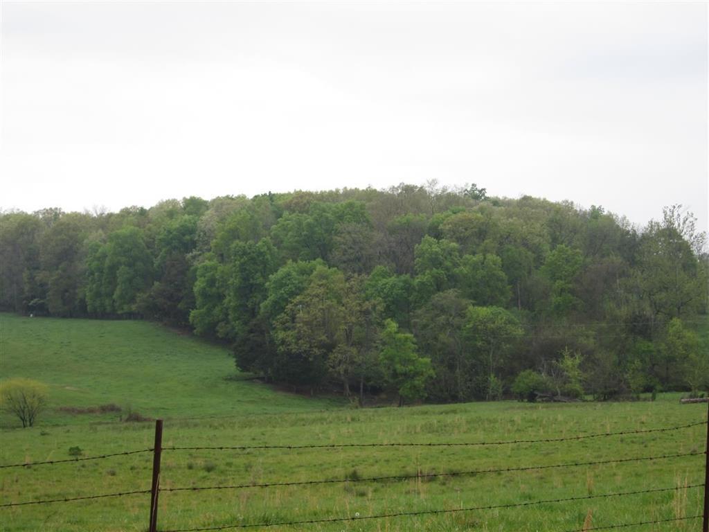 Lot 36 Northeast Chatata Valley Road Cleveland, TN 37323 - Photo 4 of 6 RCAR20142096C