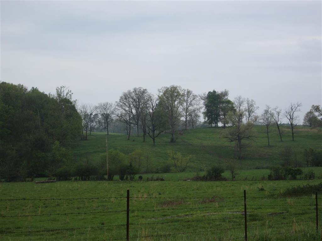 Lot 36 Northeast Chatata Valley Road Cleveland, TN 37323 - Photo 5 of 6 RCAR20142096D