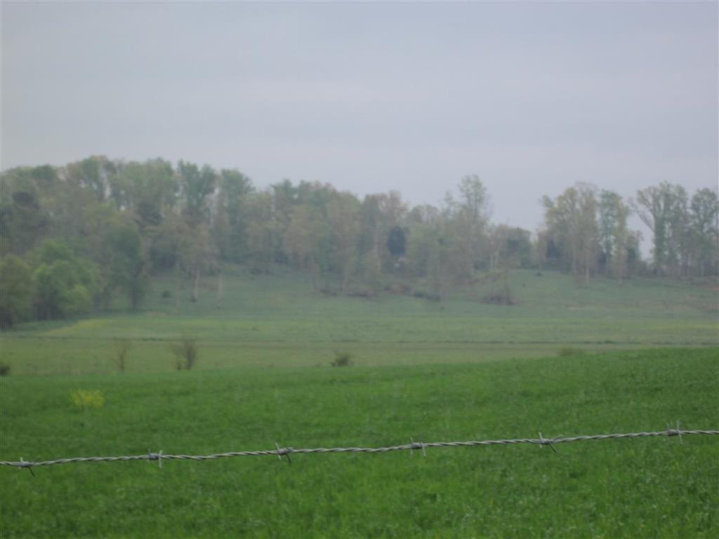 Lot 36 Northeast Chatata Valley Road Cleveland, TN 37323 - Photo 6 of 6 RCAR20142096E