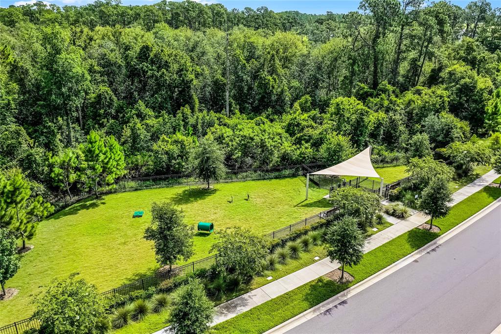 17588 Lake Star Road Winter Garden, FL 34787 - Photo 57 of 57 a view of a large garden with large trees and plants