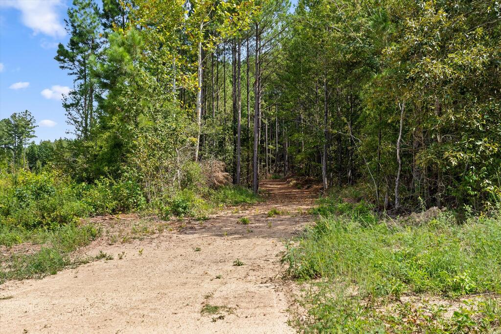 6 Reed Road Tunnel Hill, GA 30755 - Photo 6 of 27 Gallery Image 6