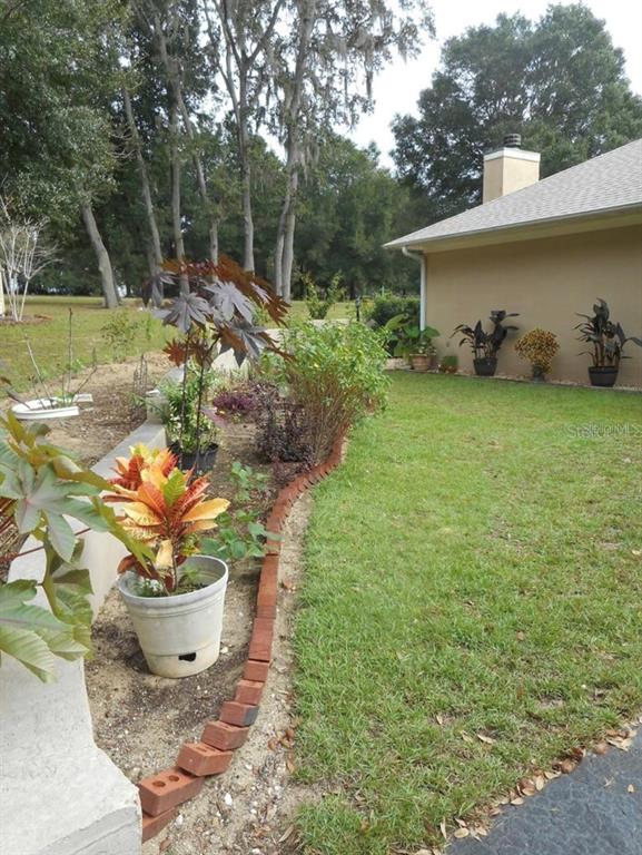 41030 Oak Grove Road Weirsdale, FL 32195 - Photo 11 of 57