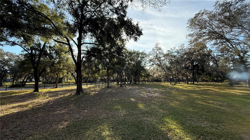 41030 Oak Grove Road Weirsdale, FL 32195 - Photo 26 of 57