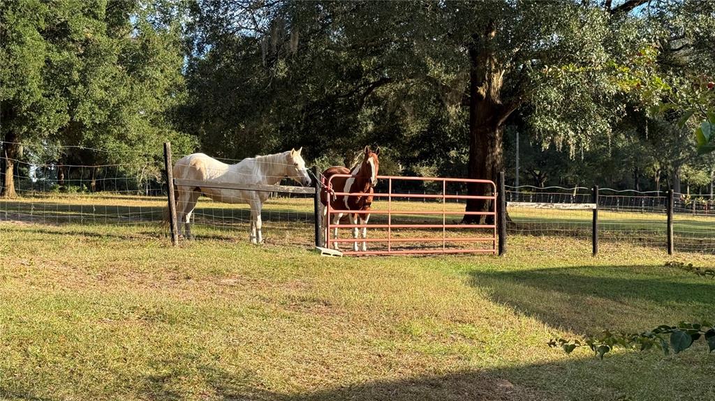 41030 Oak Grove Road Weirsdale, FL 32195 - Photo 3 of 57