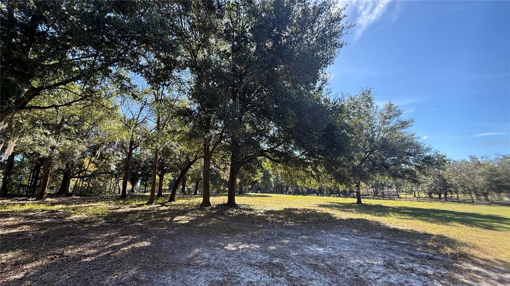 41030 Oak Grove Road Weirsdale, FL 32195 - Photo 32 of 57