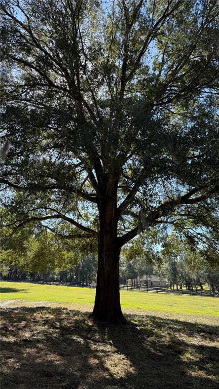 41030 Oak Grove Road Weirsdale, FL 32195 - Photo 33 of 57