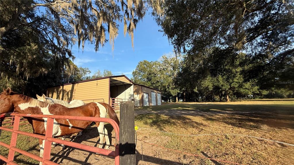 41030 Oak Grove Road Weirsdale, FL 32195 - Photo 4 of 57