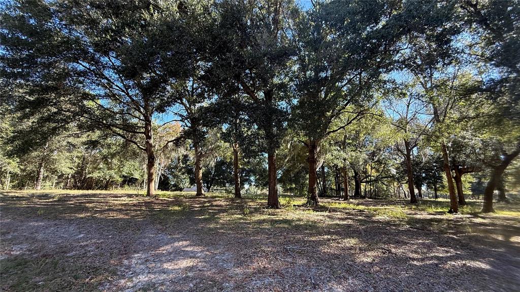 41030 Oak Grove Road Weirsdale, FL 32195 - Photo 5 of 57