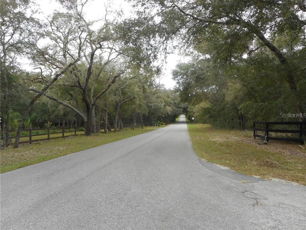 41030 Oak Grove Road Weirsdale, FL 32195 - Photo 10 of 57