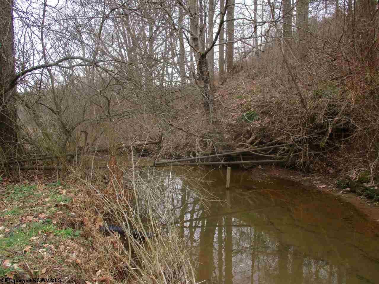 535 Simpson Run Road Weston, WV 26452 - Photo 3 of 8 Gallery Image 3