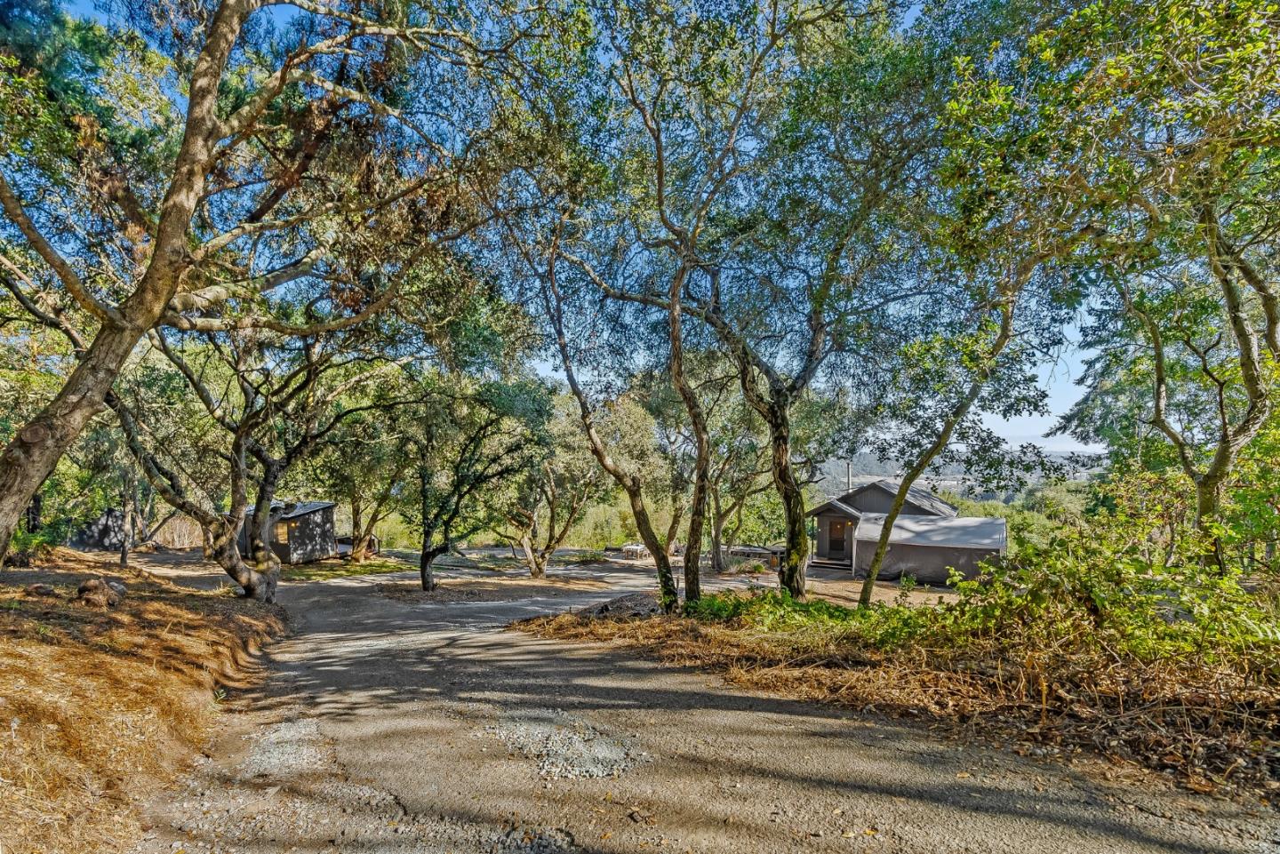 579 San Juan Pass Road Corralitos, CA 95076 - Photo 15 of 56 a view of outdoor space and yard