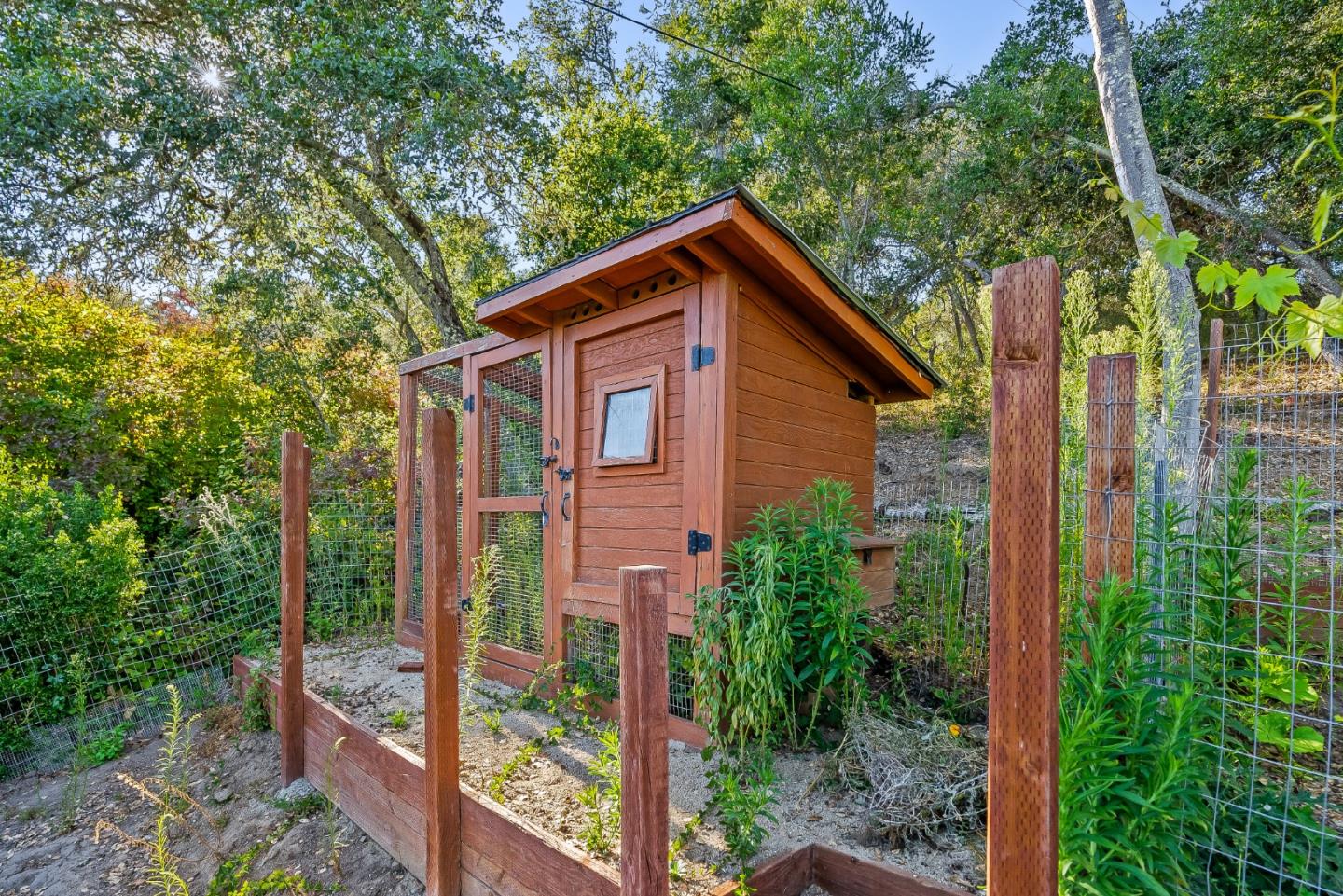 579 San Juan Pass Road Corralitos, CA 95076 - Photo 31 of 56 a view of a wooden house with a small yard and large trees