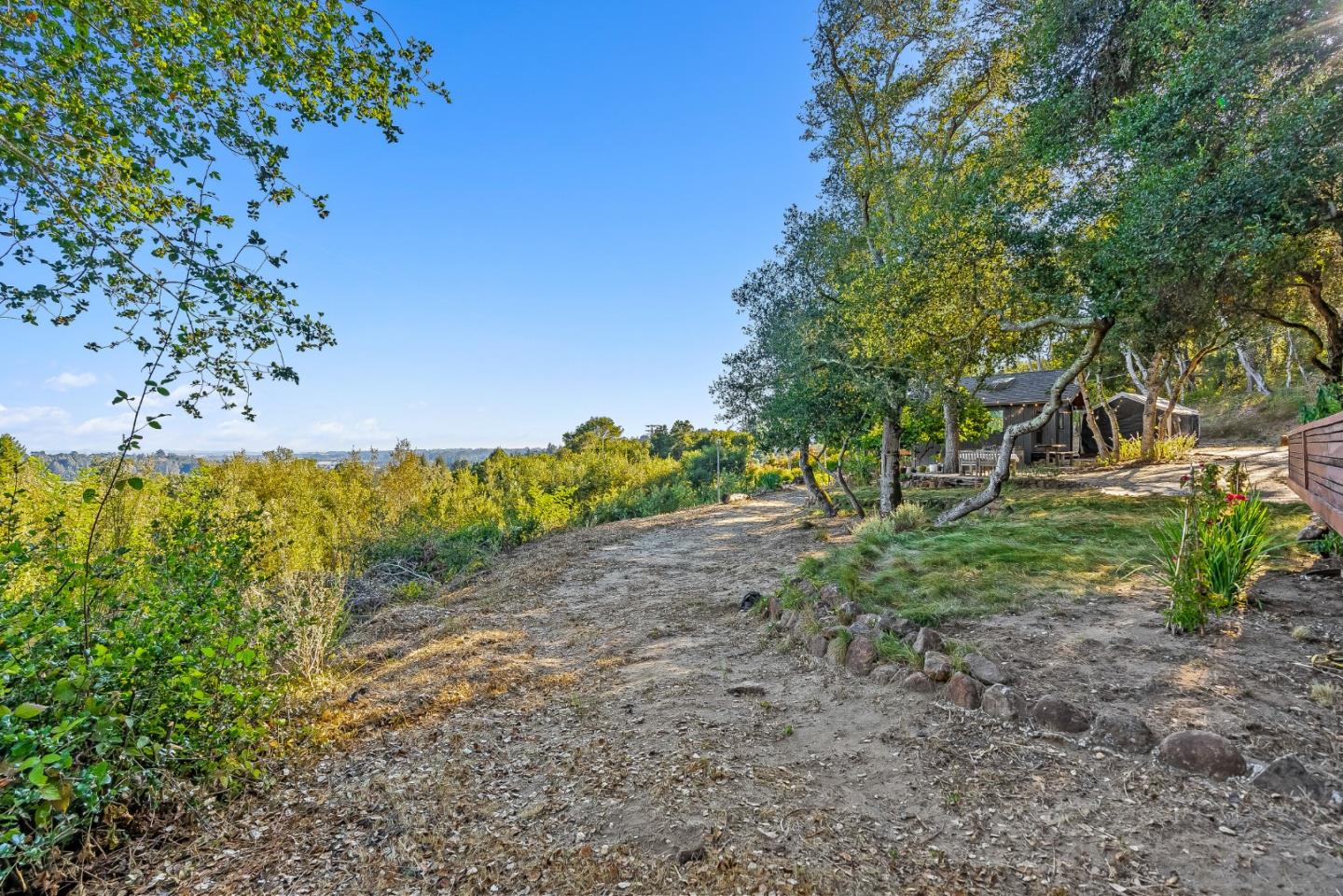 579 San Juan Pass Road Corralitos, CA 95076 - Photo 40 of 56 a view of a yard with a tree