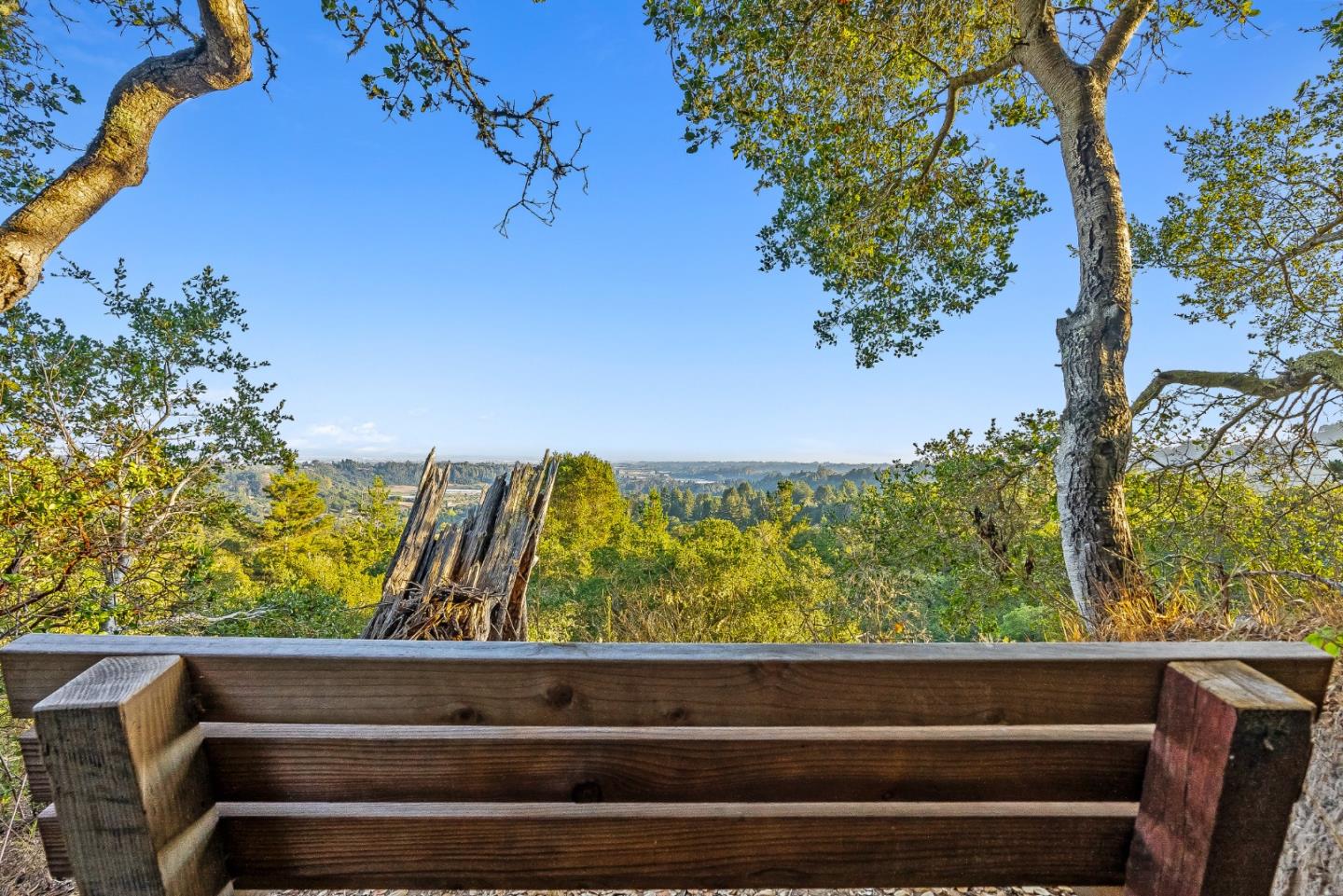 579 San Juan Pass Road Corralitos, CA 95076 - Photo 41 of 56 a view of sitting area