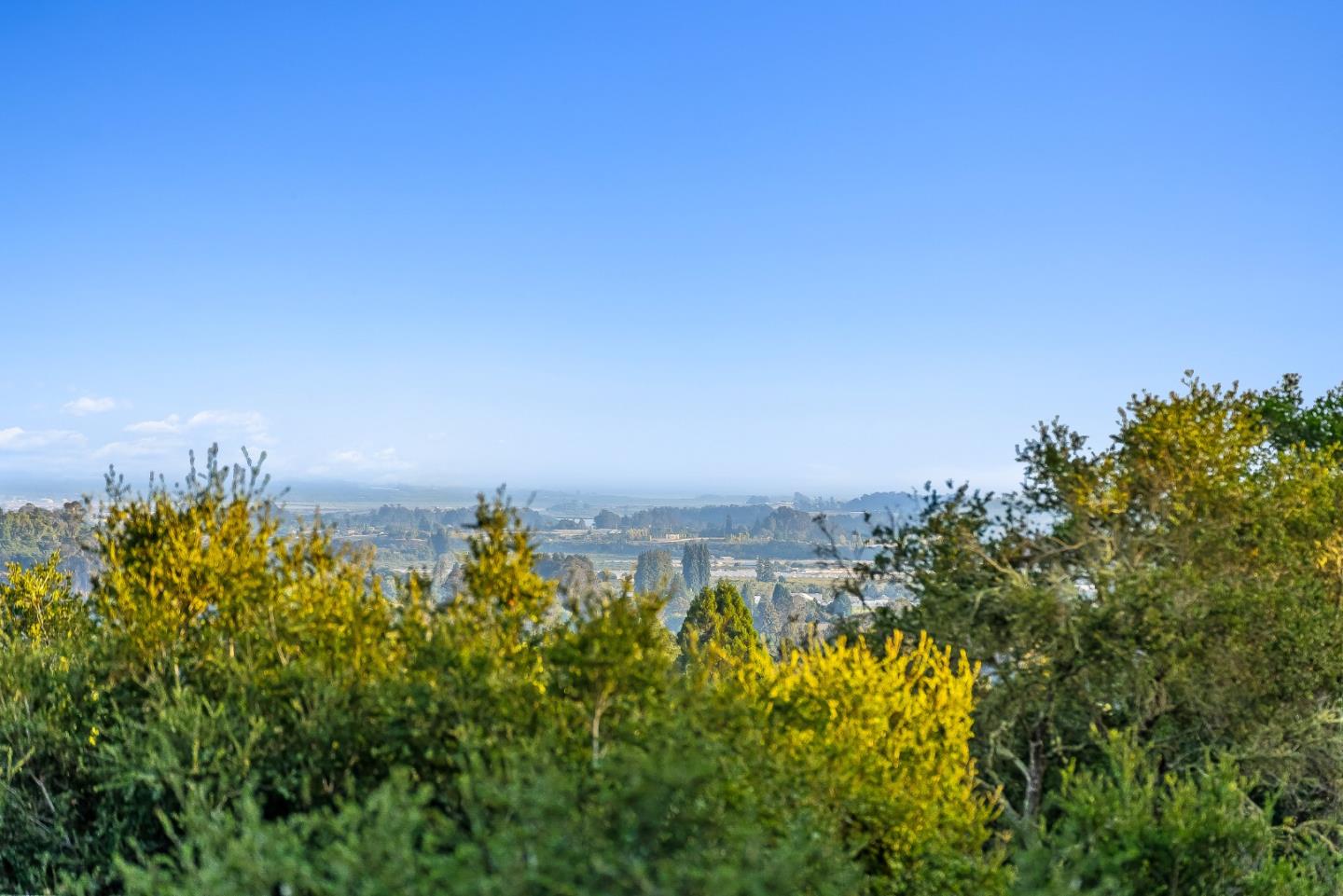 579 San Juan Pass Road Corralitos, CA 95076 - Photo 43 of 56 a view of a large garden with lawn chairs and wooden fence